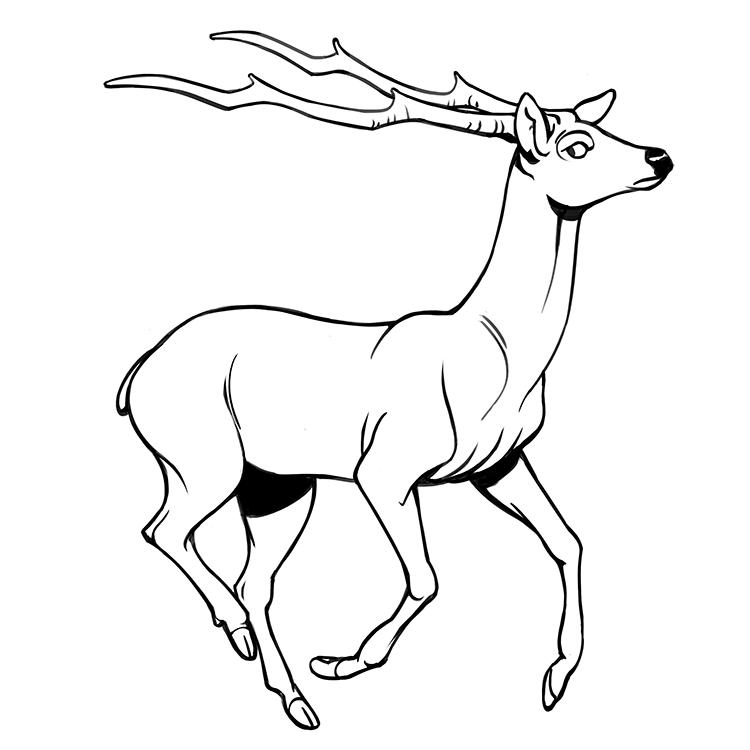 Ceryneian Hind