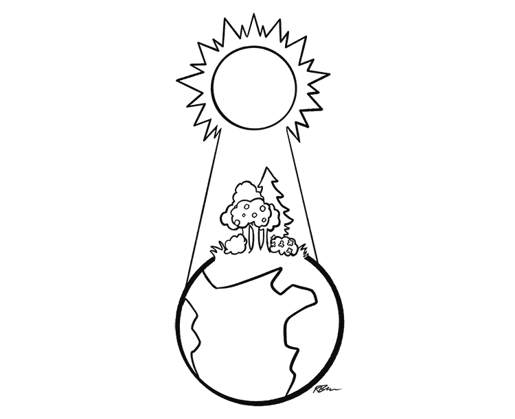 Bringing life to planet earth