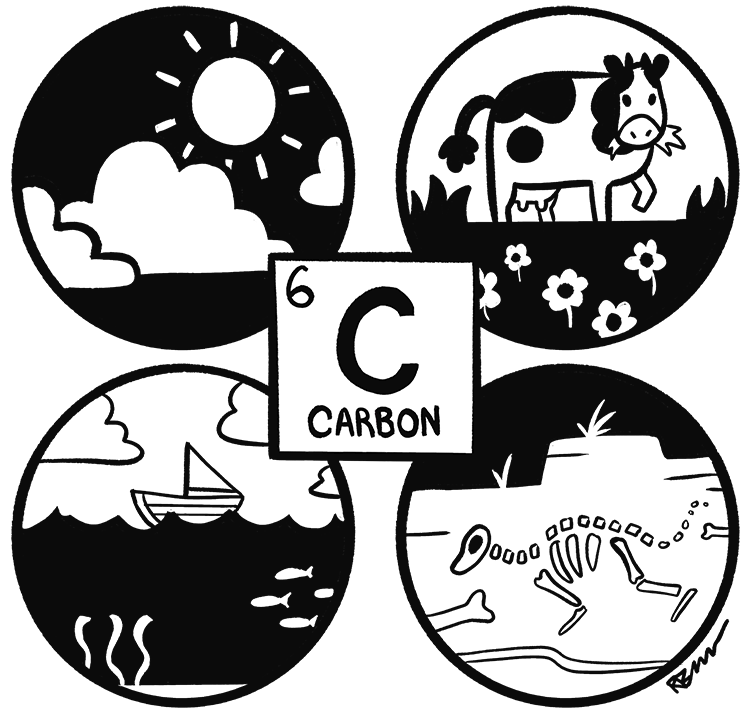 The Carbon Cycle - Library For Kids