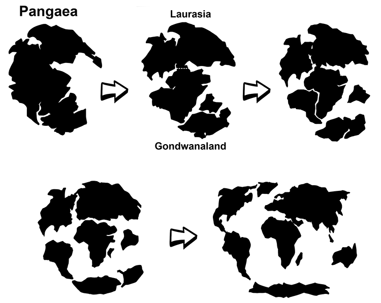 Pangea