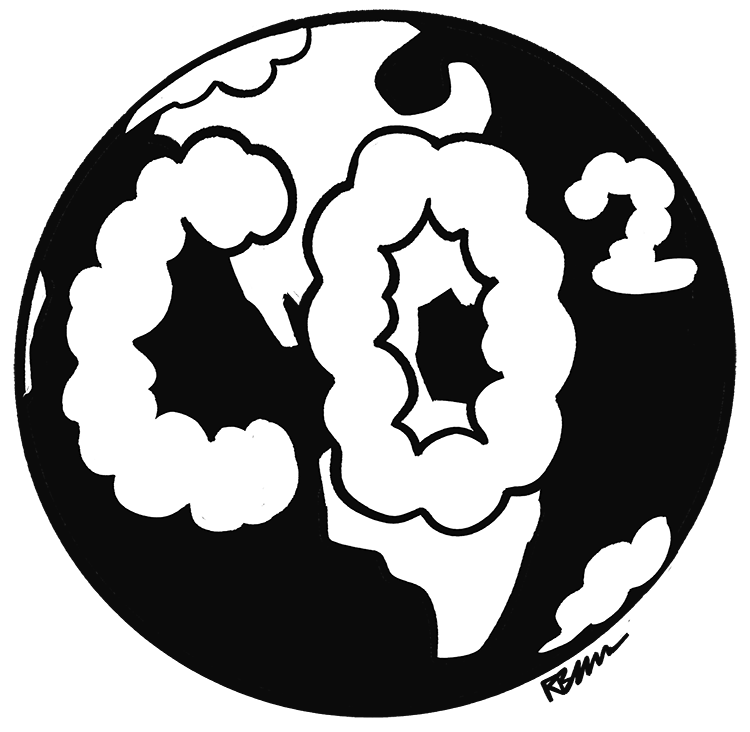 Why is carbon so important?