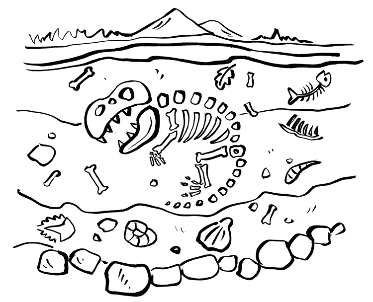 fossils coloring pages